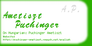 ametiszt puchinger business card